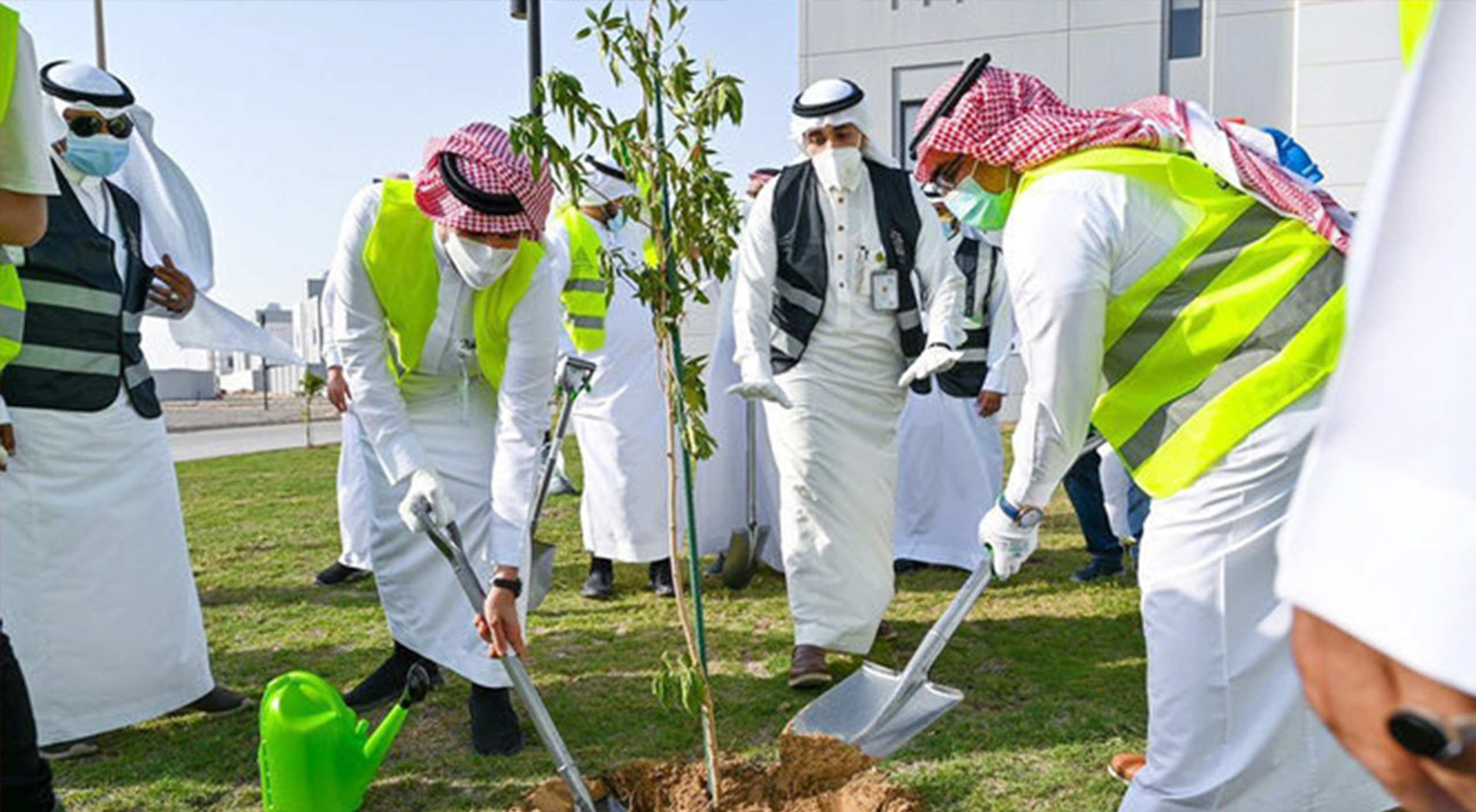 چشم انداز سبز عربستان: طرح کاشت ۱۰ میلیارد درخت و رویاهای زیست محیطی