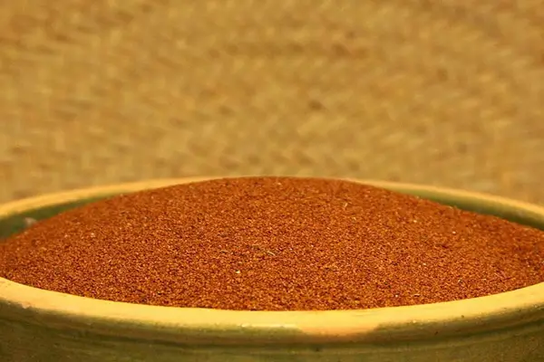 روش درست تهیه و مصرف خاکشیر برای یبوست