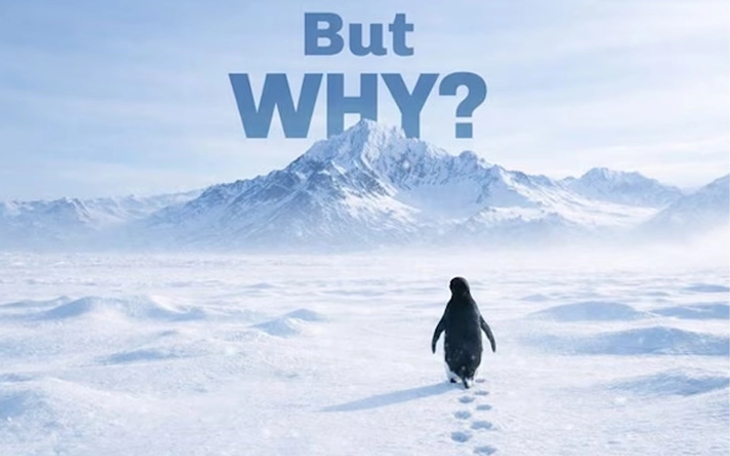 میم پنگوئن نیهیلیست چیست؟